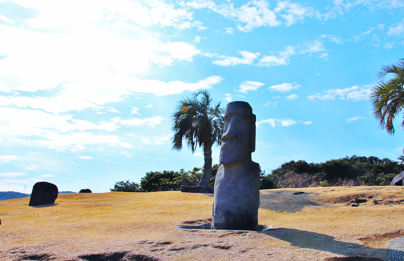 車内の暑さ対策ならこちら！快適なドライブのお供に